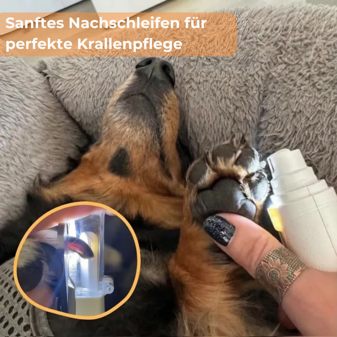 PawGlow LED Krallenschere