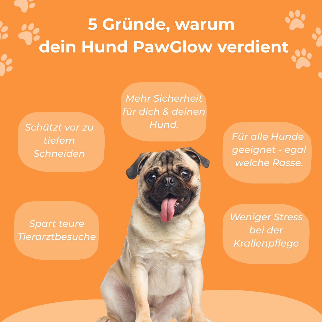 PawGlow LED Krallenschere