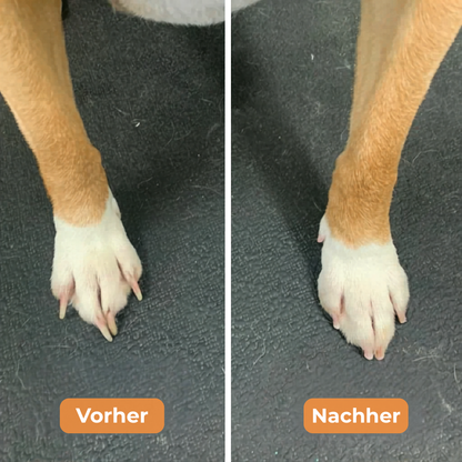 PawGlow LED Krallenschere