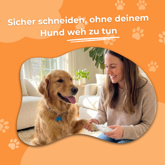 PawGlow LED Krallenschere